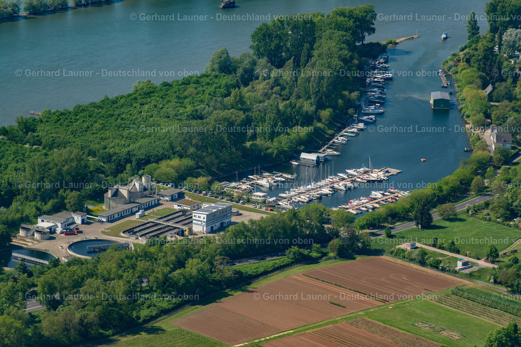 3800251 | Bootshafen bei Rüdesheim am Rhein