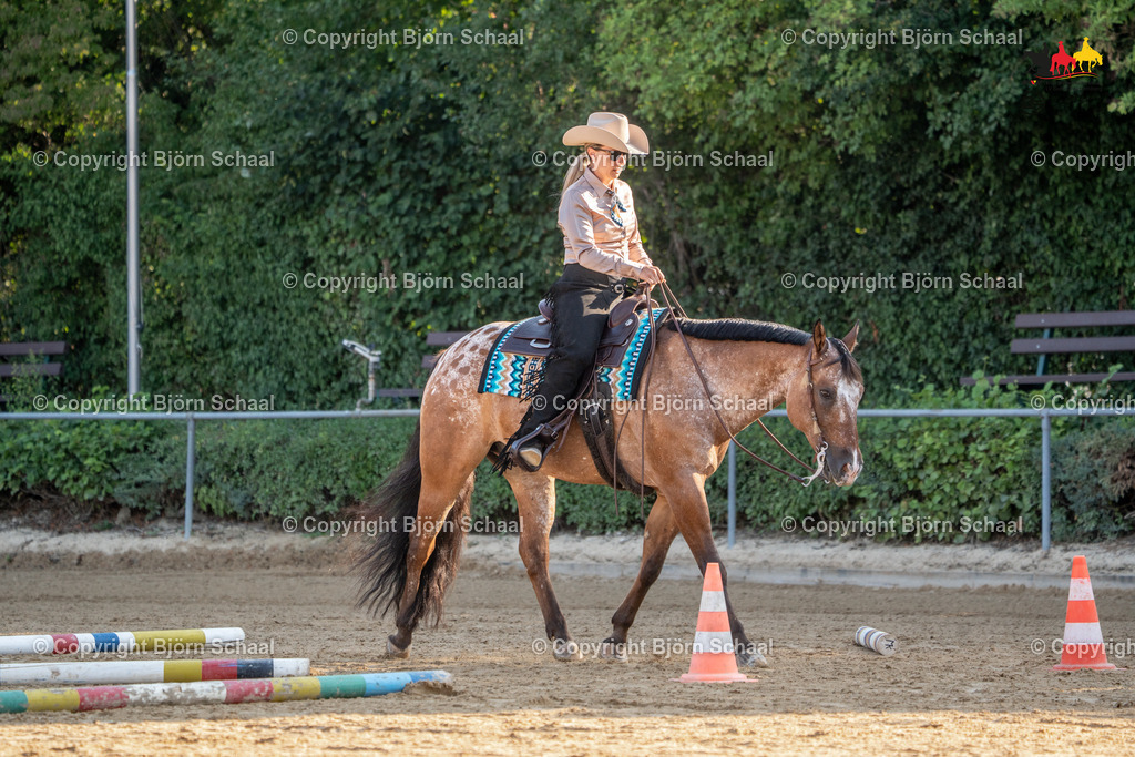 LMS04706 | BS-foto
