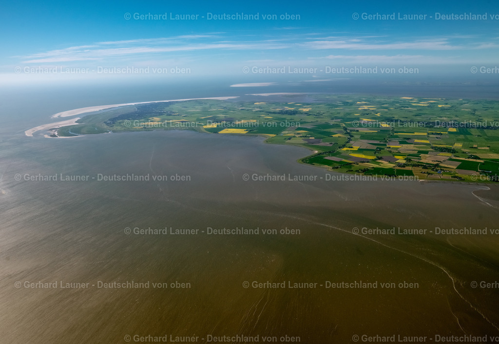 3091378 | Eiderstedt,Nationalpark Schleswig-Holsteinisches Wattenmeer