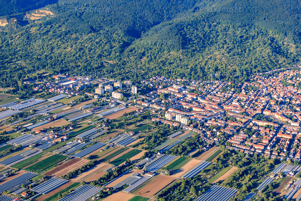 Luftbild: Ortsansicht von Südwesten im Ortsteil Handschuhsheim in Heidelberg im Bundesland Baden-Württemberg in Deutschland. Foto: IMG_51934.jpg vom 18.08.2012 durch Werner Riehm/FLY-FOTO.deAuflösung des Originals: 4752 x 3168 px