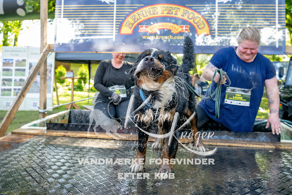 1549_ZZ90133 | kk-dogfotos