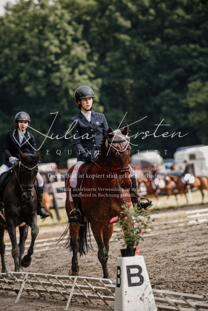 DSC_8672 | Pferde- und Turnierfotografie in Westsachsen. Pferdeportraits, Auftragszeichnungen und intuitive Kunst.