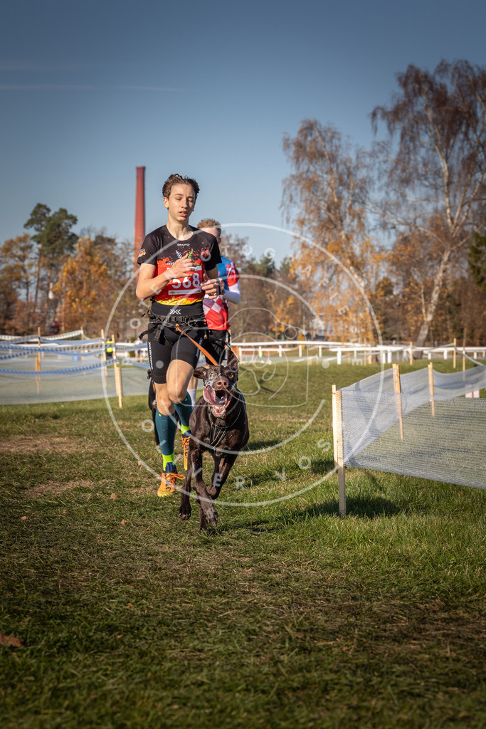 CaniXpix_0L8A7991 | Hundefotografie, Tierfotograf, Pfotenfotografie, Fotoshooting Hund, Hunde Portrait, Hundesport, Hundeportraits, Heideshooting, Hunde, Sportfotograf, Hundefotograf, Turnierhundsport, THS,  - Realisiert mit Pictrs.com
