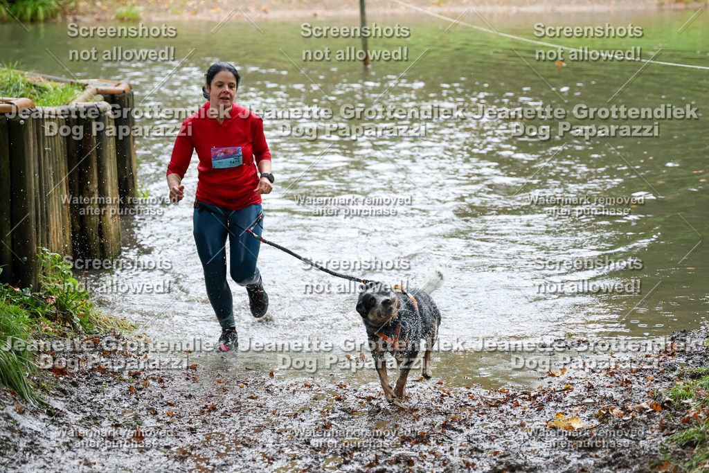 Dog Paparazzi -  SD1026-8448 | Dog Paparazzi Jeanette Grottendiek Fotografie & Videografie - Realisiert mit Pictrs.com