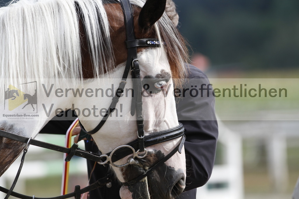 _MG_9771 | equestrian-live-com