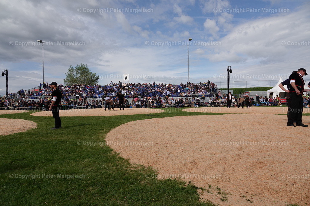 DSC00692 | Schwingen - Realisiert mit Pictrs.com