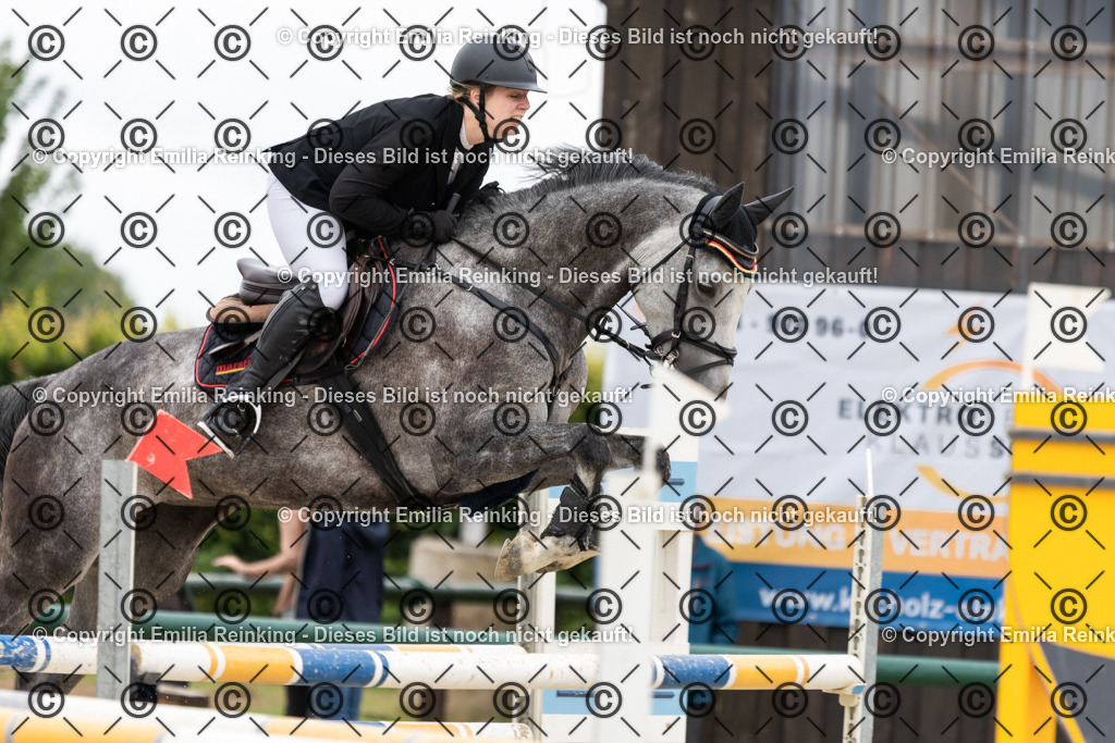 CL5A5209 | Emilia Reinking Fotografie - Realisiert mit Pictrs.com