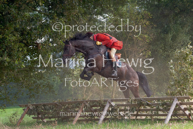 09-23 Jagd Perdöl_MCH9900_Marina Hewig | Fotografie, FotoArt, PferdesportArt, Pferdesportfotografie, Landschaftsfotografie, Reisefotografie, Reise, Pferde - Realisiert mit Pictrs.com