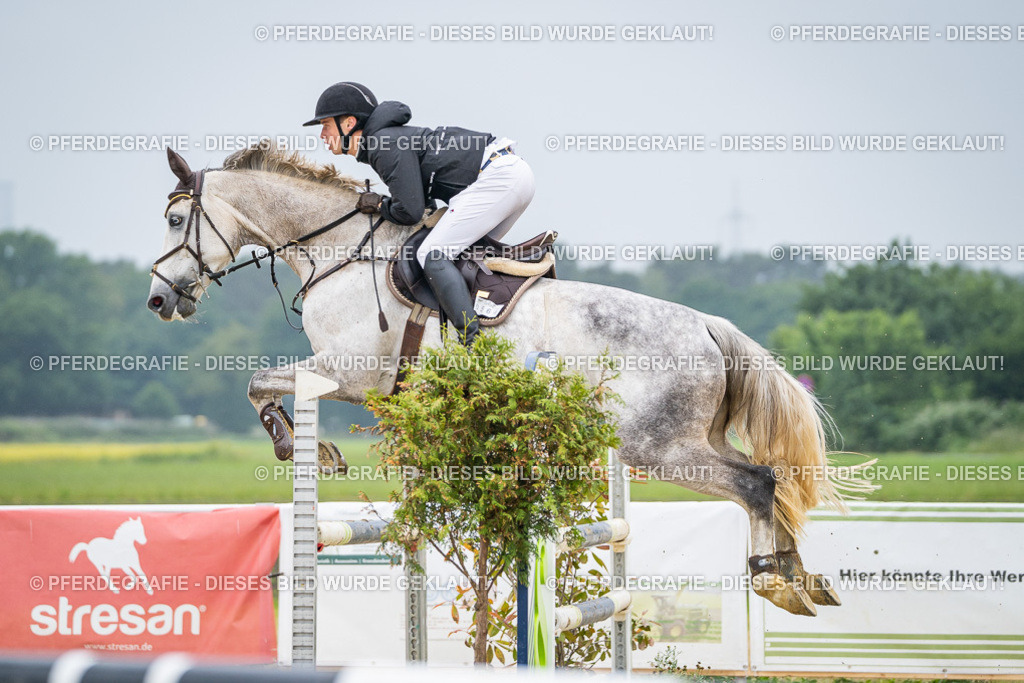 DSC01718 | Pferdegrafie