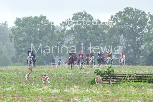 Jagd Perdoel 26 Sony-03443_MarinaHewig | Fotografie, FotoArt, PferdesportArt, Pferdesportfotografie, Landschaftsfotografie, Reisefotografie, Reise, Pferde - Realisiert mit Pictrs.com