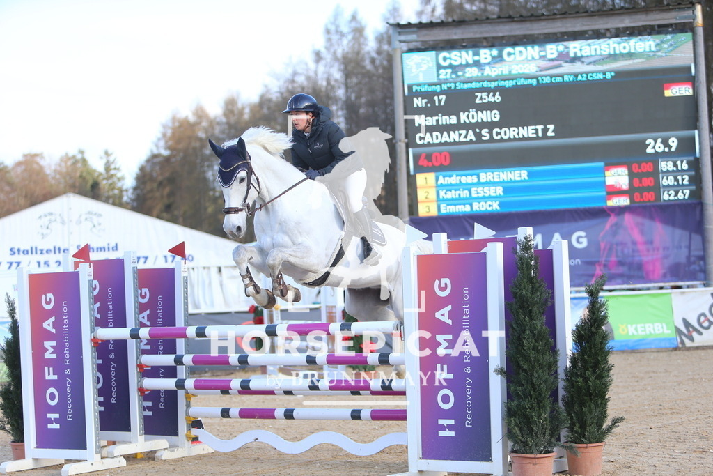 DL2Q1304 | Willkommen bei Brunnmayr - Design & Fotografie – Ihrem Spezialisten für Reitturniere und Pferdeveranstaltungen in Oberösterreich, Salzburg und Bayern! Seit über 17 Jahren sind wir leidenschaftlich dabei.