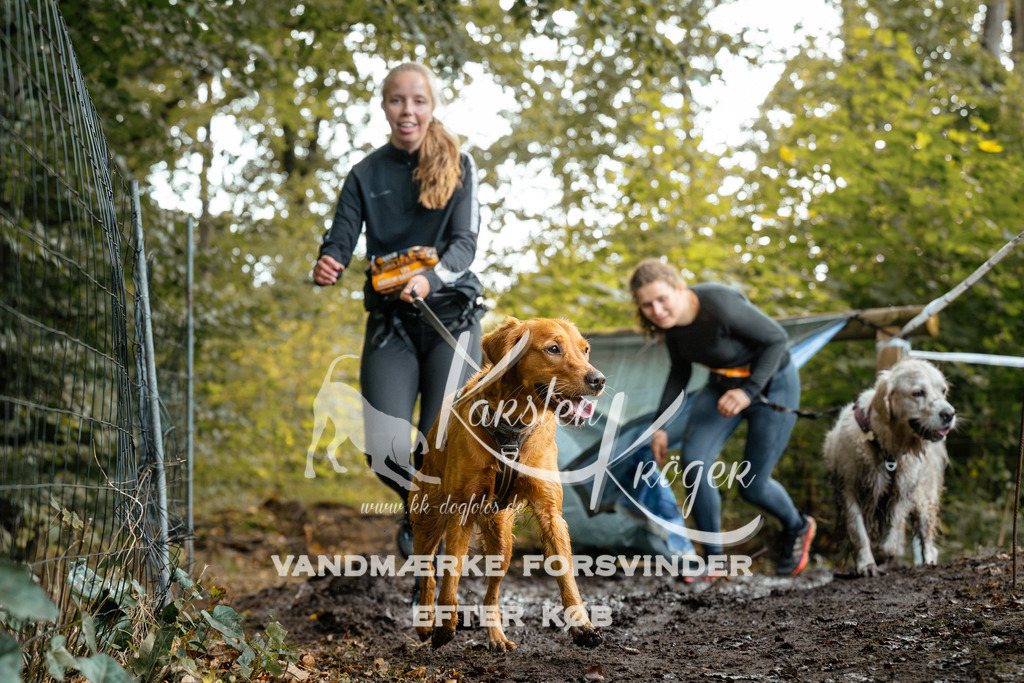1435DZ6_3088Z6 | kk-dogfotos