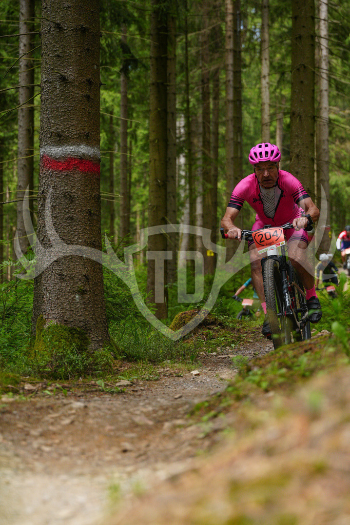 FC603754 | Fotogalerie der Treibjagd im Dunkelwald - Dein MTB Etappenrennen im Erzgebirge - Realisiert mit Pictrs.com