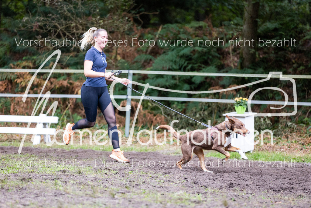 HB-JaD-065 | MomenTaufnahmen Pferdesportfotos