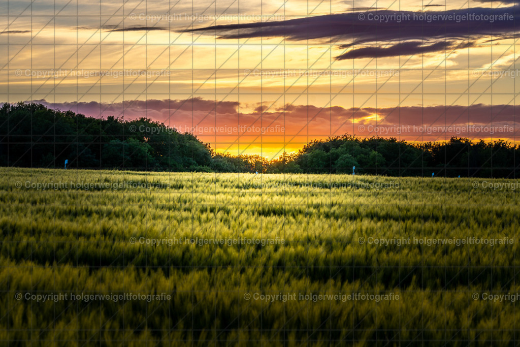 Abendstimmung | Kaufen sie online außergewöhnliche Fotografien auf Leinwand Acrylglas Fotoprint Aludibond von holgerweigeltfotografie - Realisiert mit Pictrs.com
