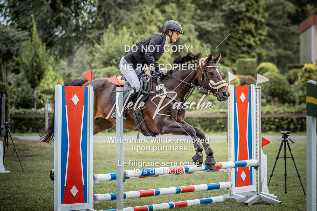 nelerasche_StilSpr60Ede_74 | nelerasche