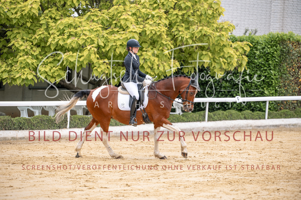 Schugtsche-Aluta25-41.Amat-Dressurprf.A_-91 | Schugtsche Fotografie - Realisiert mit Pictrs.com