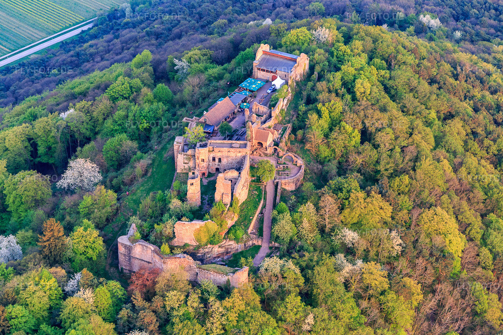 Luftbild: Burgruine Madenburg auf einem herbstlich verfärbten Berg des Pfälzerwalds aus Norden in Eschbach im Bundesland Rheinland-Pfalz in Deutschland. Foto: IMG_106867.jpg vom 21.04.2018 durch Werner Riehm/FLY-FOTO.de