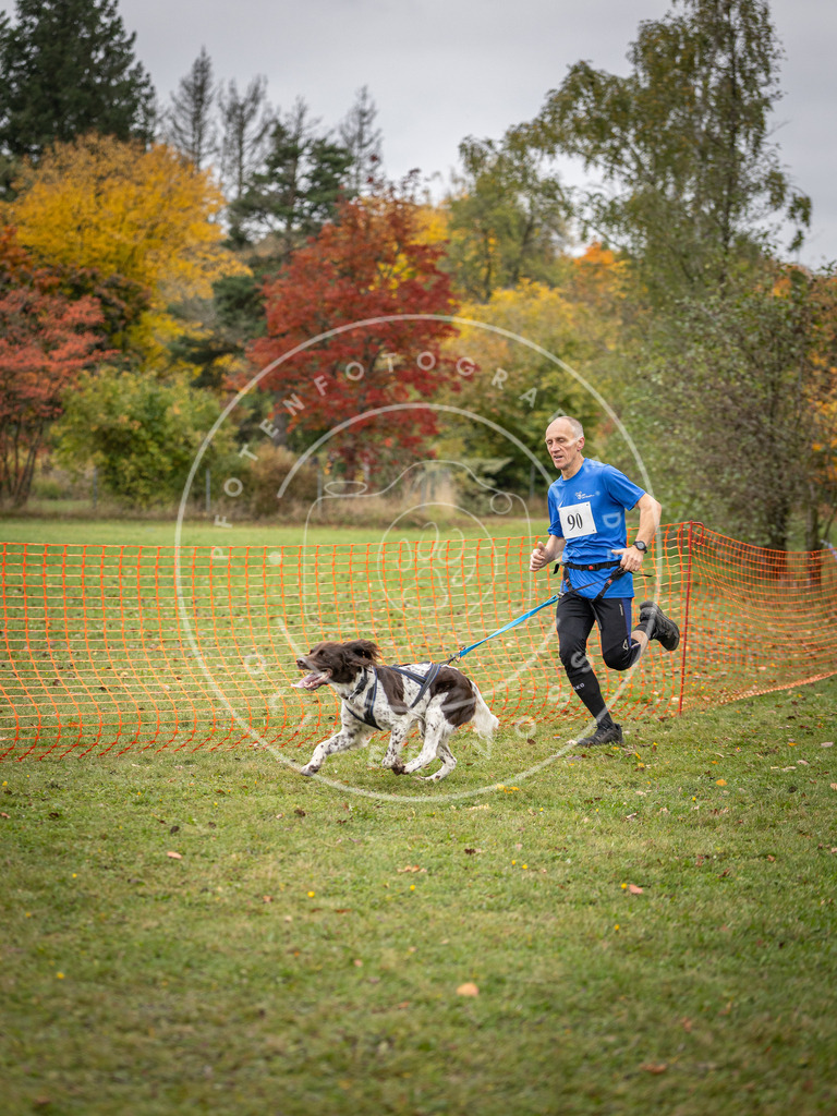 Pfotenfotografie_DV3A3256 | Hundefotografie, Tierfotograf, Pfotenfotografie, Fotoshooting Hund, Hunde Portrait, Hundesport, Hundeportraits, Heideshooting, Hunde, Sportfotograf, Hundefotograf, Turnierhundsport, THS,  - Realisiert mit Pictrs.com