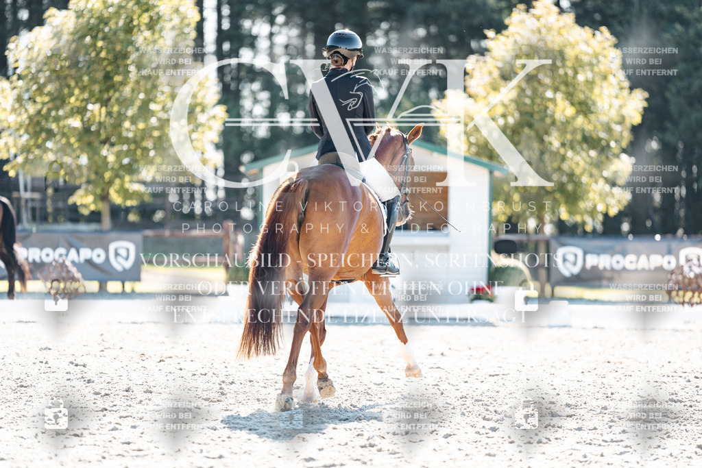 CK906013 | Turnierfotografie Pferdefotografie Trier Rheinland-Pfalz Pferdesport Reitsport Tierfotografie Sportfotografie Pferdevideo Pferdevideografie Equestrianvideography equestrianphotography  - Realisiert mit Pictrs.com