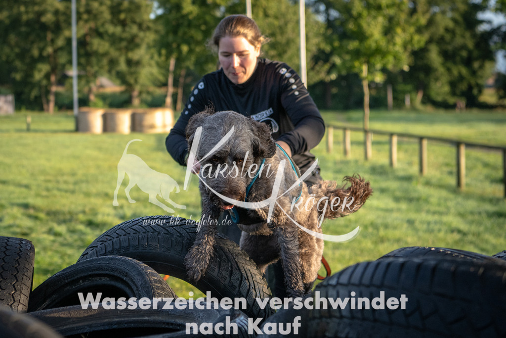0804_ZZ90095 | kk-dogfotos