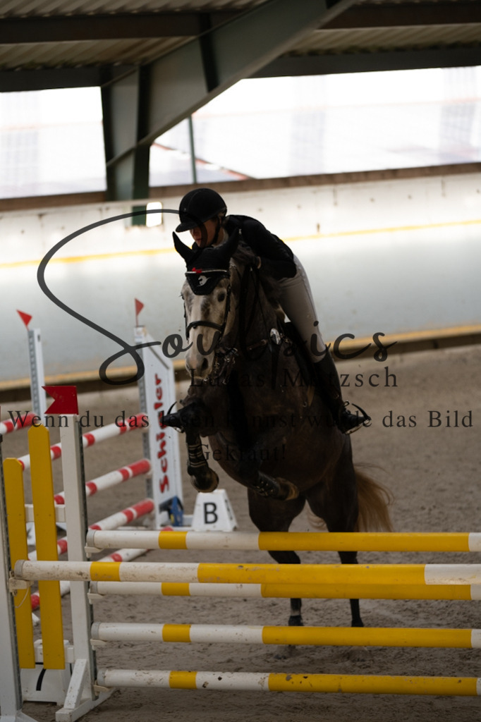 A7V02339 | Pferdefotograf