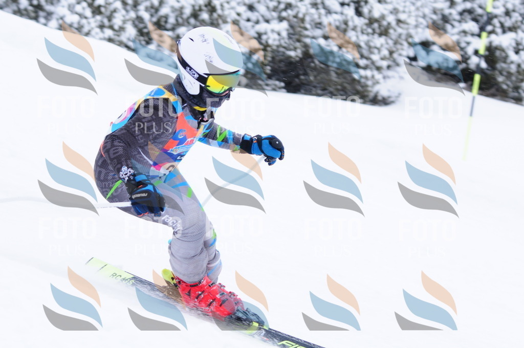 C4190 | holidayphoto