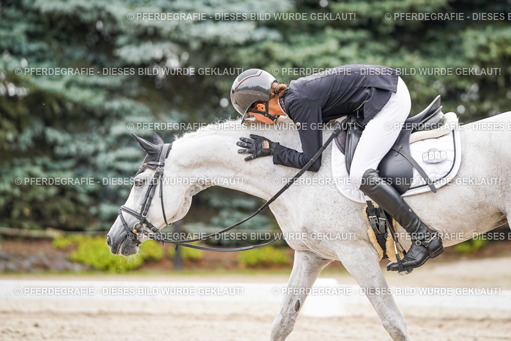 DSC02187 | Pferdegrafie