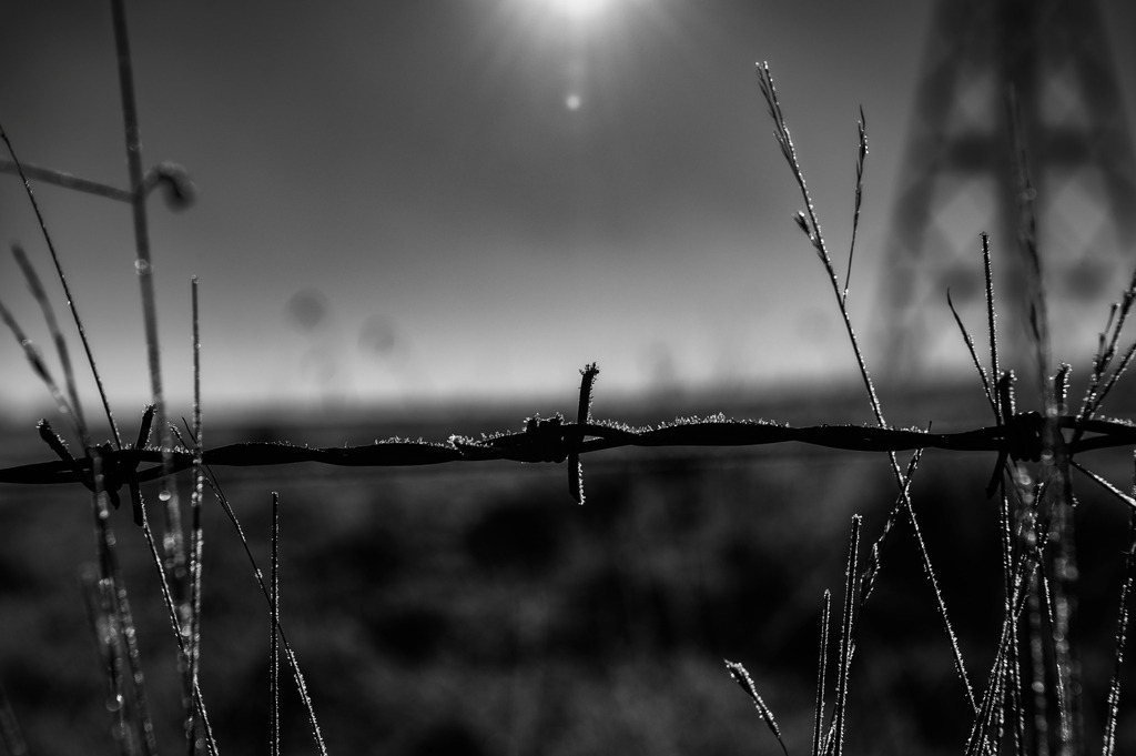 2022_12_17_HETLINGER-SCHANZE_MCP6139 sw | Hochwertig gedruckte Fotografien für die Wand, als Kalender und zum Verschenken. Hamburg & Norddeutschland und überall wo ich mit der Kamera unterwegs war.