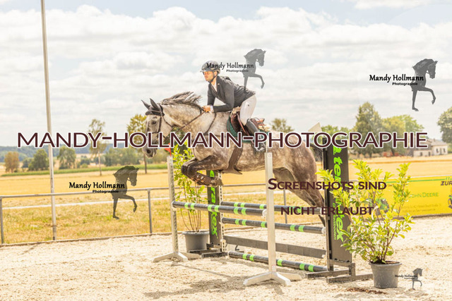 26-7-23 SPR A++-113 | mandyhollmannphotographie