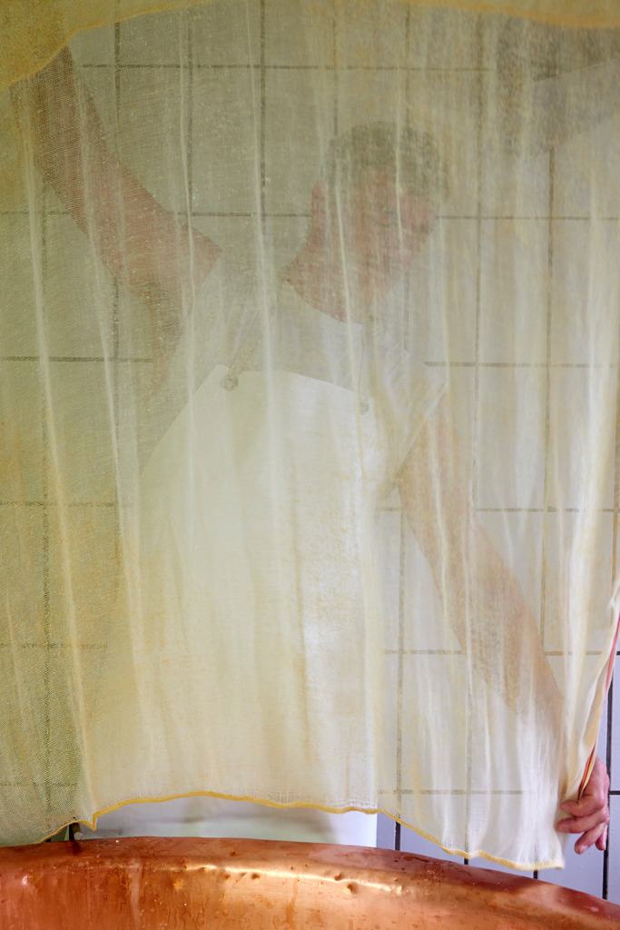 Markus Felder spannt das Käsertuch | Laterns, Austria - July 28, 2017: Markus Felder spannt das Käsertuch. - Realisiert mit Pictrs.com