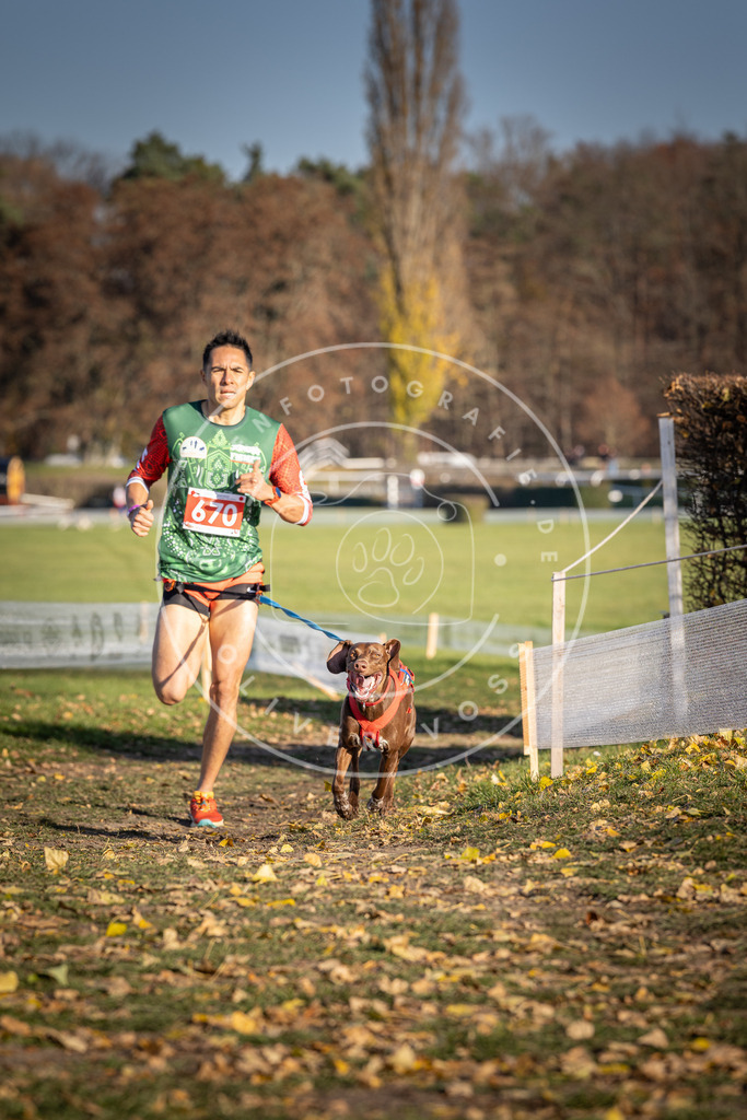 CaniXpix_DV3A0826 | Hundefotografie, Tierfotograf, Pfotenfotografie, Fotoshooting Hund, Hunde Portrait, Hundesport, Hundeportraits, Heideshooting, Hunde, Sportfotograf, Hundefotograf, Turnierhundsport, THS,  - Realisiert mit Pictrs.com