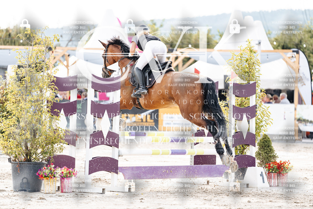 CK906895 | Turnierfotografie Pferdefotografie Trier Rheinland-Pfalz Pferdesport Reitsport Tierfotografie Sportfotografie Pferdevideo Pferdevideografie Equestrianvideography equestrianphotography  - Realisiert mit Pictrs.com