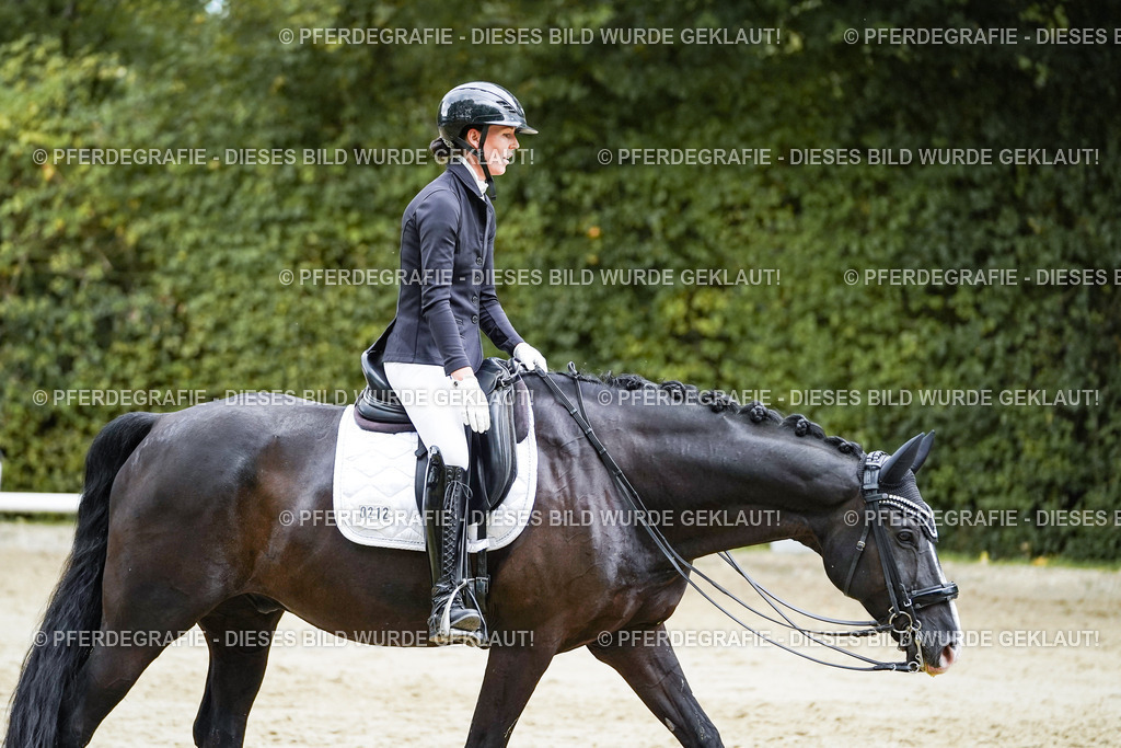 DSC06118 | Pferdegrafie