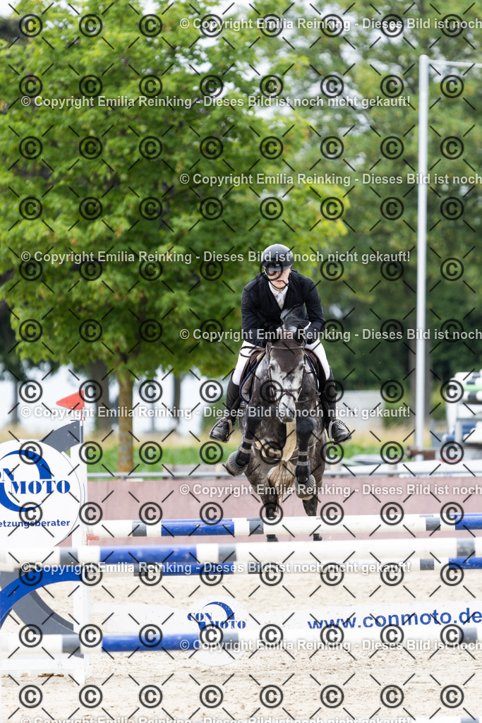 CL5A2250 | Emilia Reinking Fotografie - Realisiert mit Pictrs.com