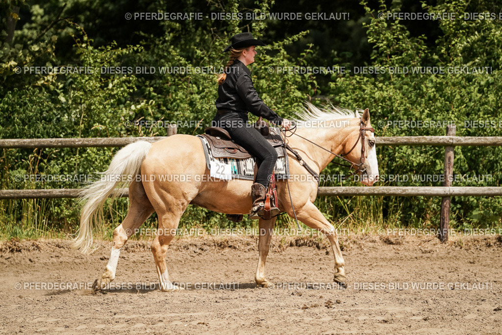 DSC09877 | Pferdegrafie