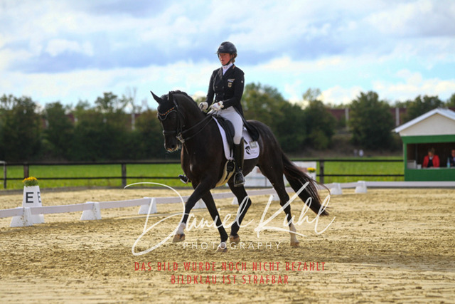 DKP44664 | Turniersportfotografie; Pferdefotografie; Dressurfotografie