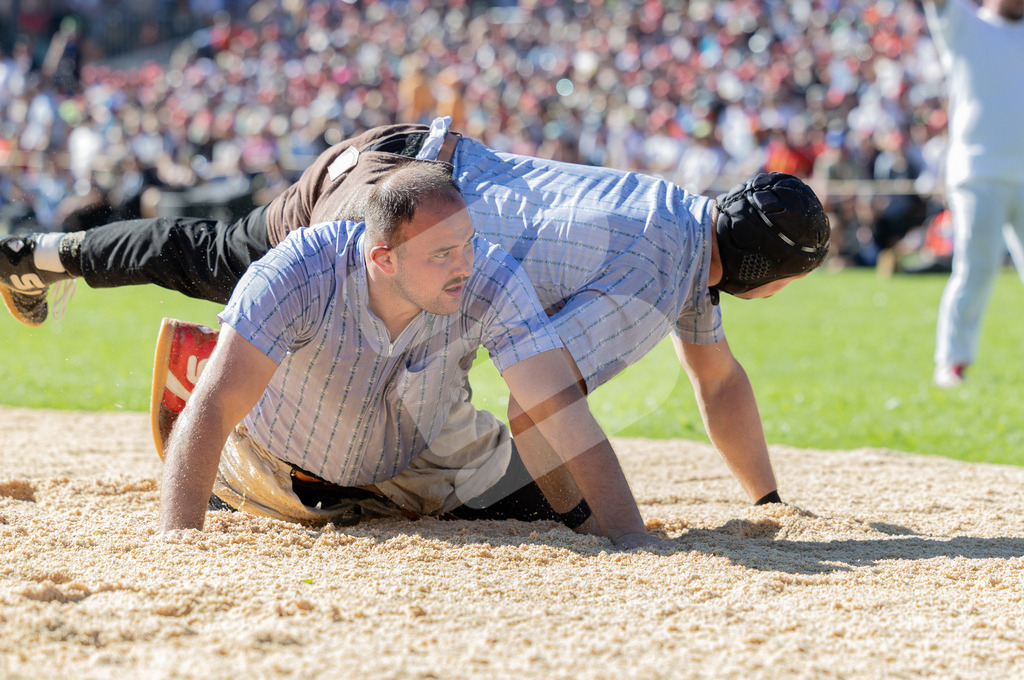 ESAF2025_08Gang_7076 | Die Schwinger des Schwyzer Kantonalen Schwingerverbandes: Fotos, die Dynamik und Leidenschaft festhalten, sowie emotionale Momente aus dem traditionellen Schwingsport zeigen. - Realisiert mit Pictrs.com