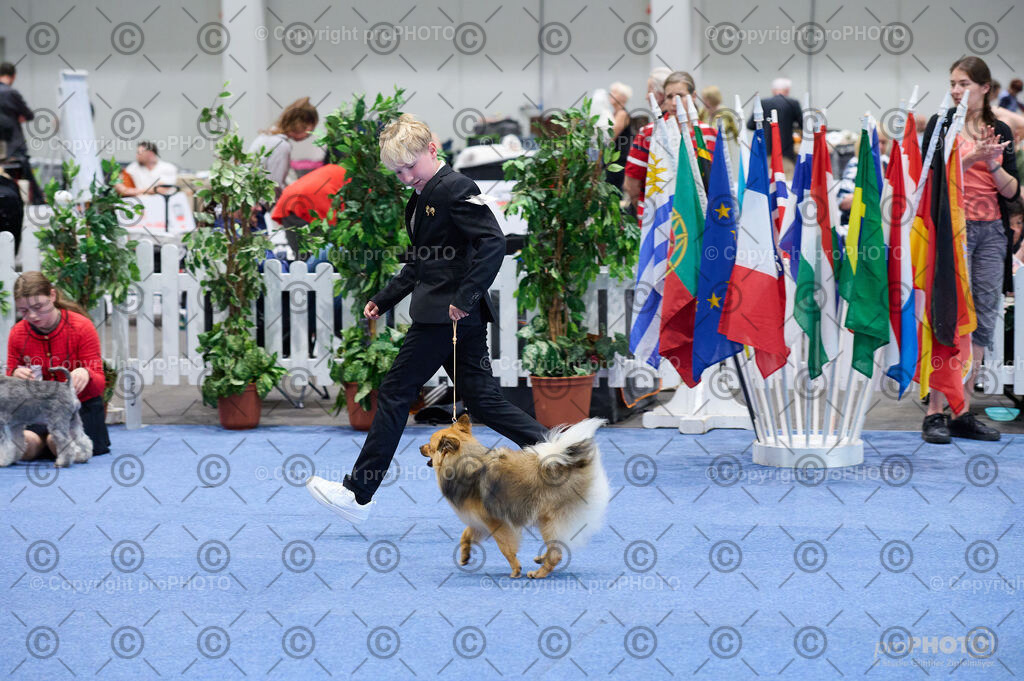 202406_ÖKV-IHA-Tulln24_DSC_4742 | proPHOTO - Realisiert mit Pictrs.com