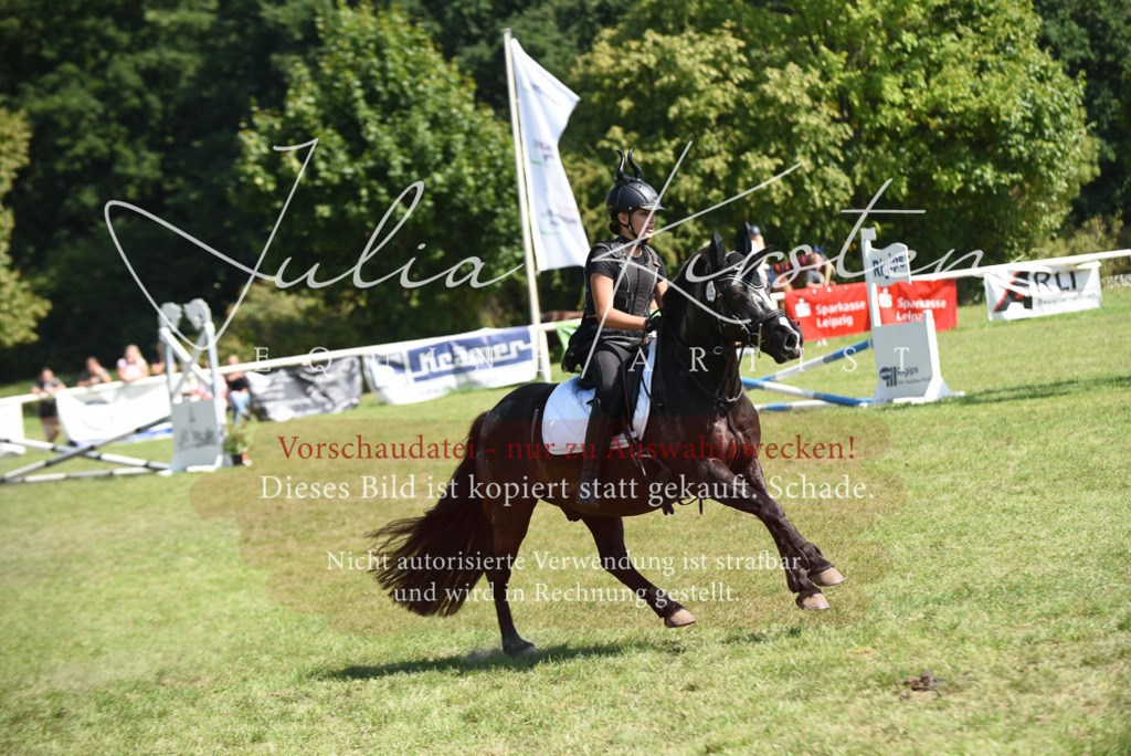 DSC_0361 | Pferde- und Turnierfotografie in Westsachsen. Pferdeportraits, Auftragszeichnungen und intuitive Kunst.