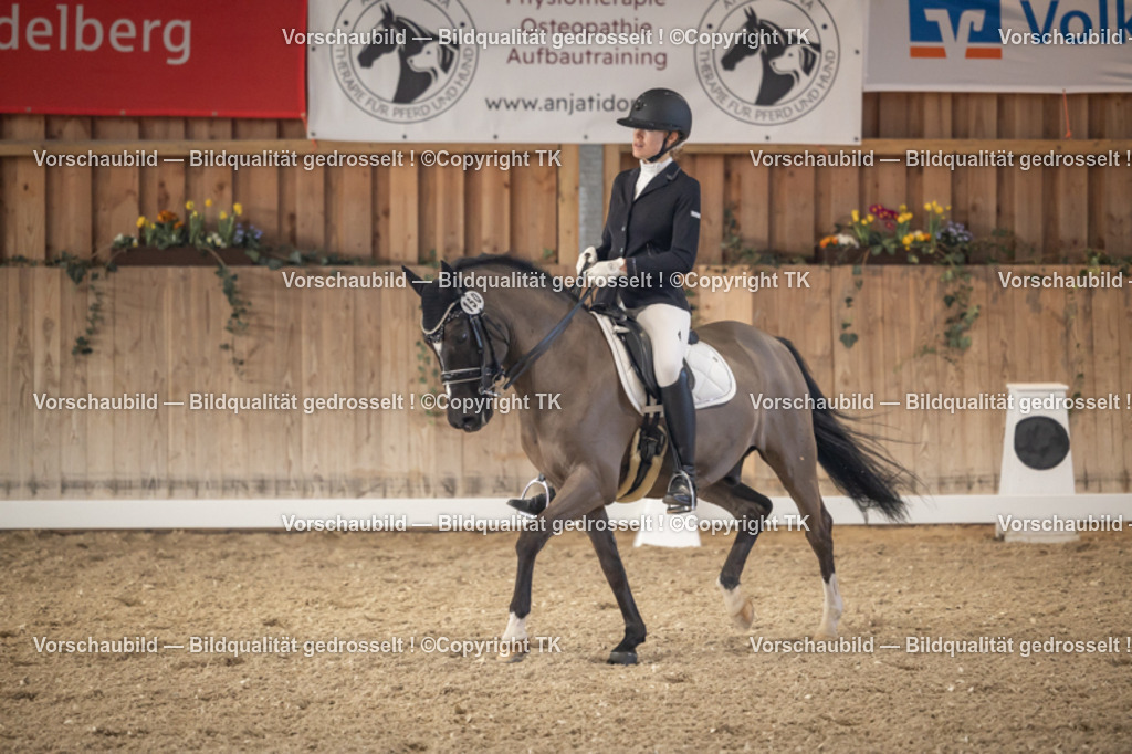 _D5A2856 | Emotionale Pferde- & People-Fotografie rund um Heidelberg, Leimen & Umgebung. Natürliche Fotos von Pferd, Mensch & Familie. Jetzt Termin sichern!