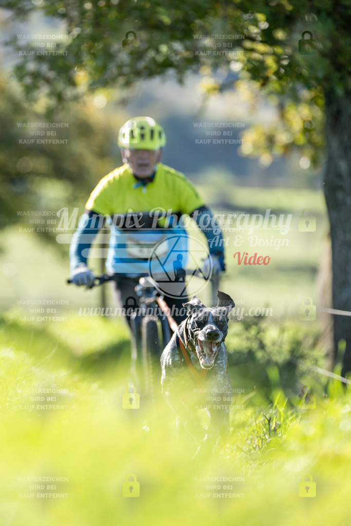 MompixPhotography_20TSB_E3_DS1-56 | PayLife