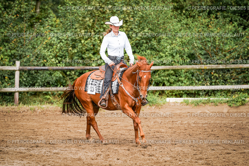 DSC09136 | Pferdegrafie