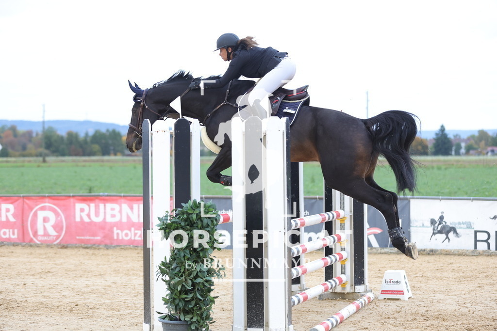 0P6A0137 | Willkommen bei Brunnmayr - Design & Fotografie – Ihrem Spezialisten für Reitturniere und Pferdeveranstaltungen in Oberösterreich, Salzburg und Bayern! Seit über 17 Jahren sind wir leidenschaftlich dabei.