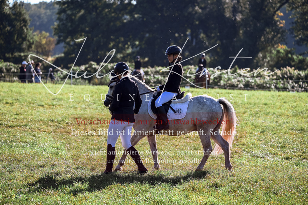 DSC_0400 | Pferde- und Turnierfotografie in Westsachsen. Pferdeportraits, Auftragszeichnungen und intuitive Kunst.