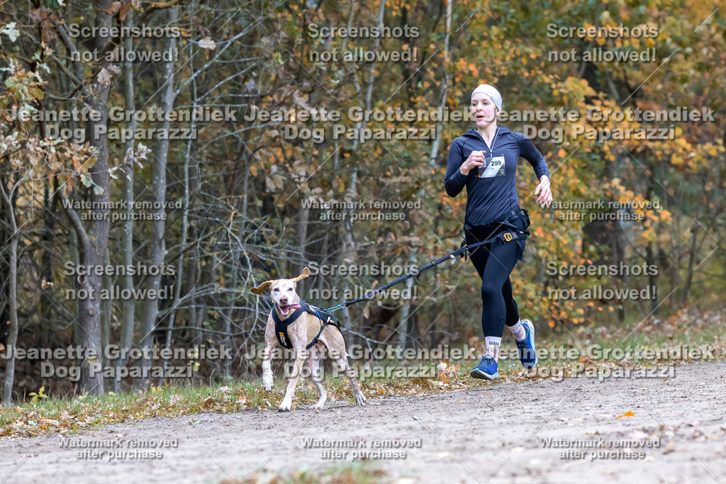 Dog Paparazzi - SD CaniX Championship 2025-534 | Dog Paparazzi Jeanette Grottendiek Fotografie & Videografie - Realisiert mit Pictrs.com