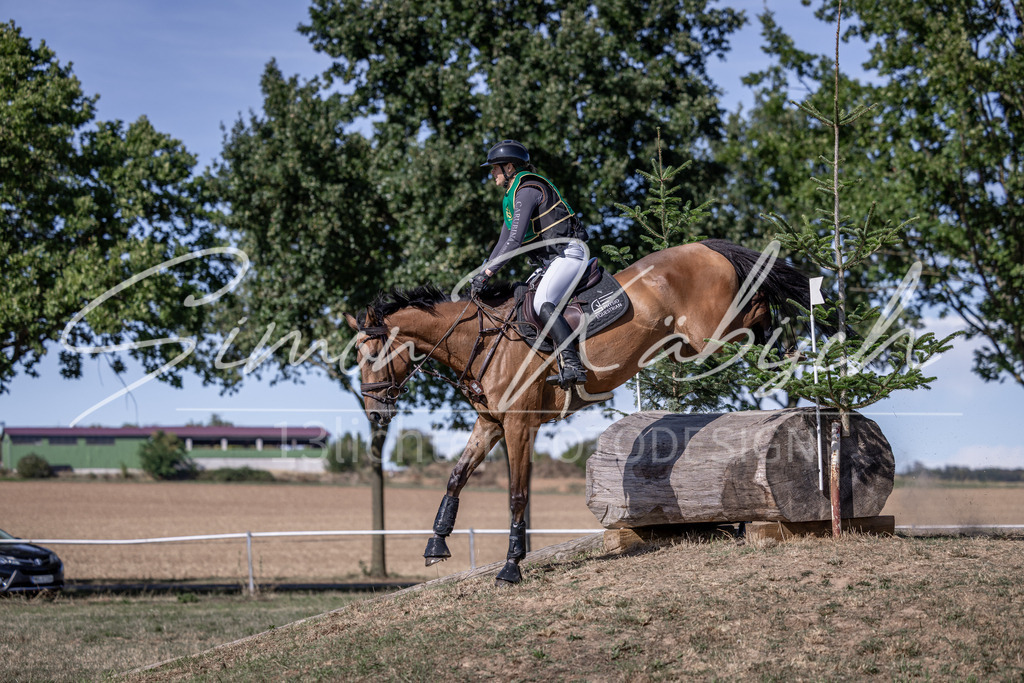 20260906-_3LI5829 | Tierfotografie Pferde, Hunde, Katzen, Haustiere.
Turnierfotografie Reitturniere, Reiten, Springreiten, Dressur in Hanau, dem Main-Kinzig-Kreis und dem Rhein-Main- Gebiet um Frankfurt