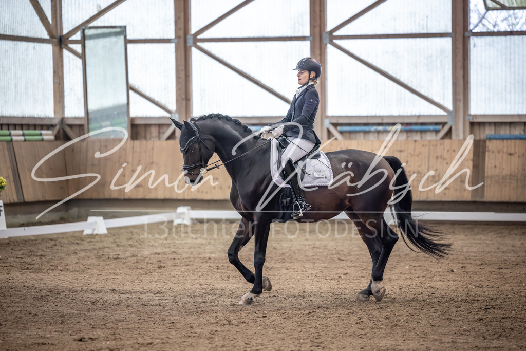 20251011-_3LI1702 | Tierfotografie Pferde, Hunde, Katzen, Haustiere.
Turnierfotografie Reitturniere, Reiten, Springreiten, Dressur in Hanau, dem Main-Kinzig-Kreis und dem Rhein-Main- Gebiet um Frankfurt