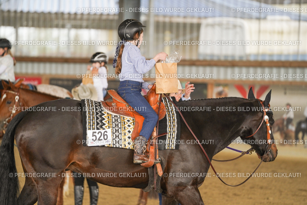 DSC00992 | Pferdegrafie