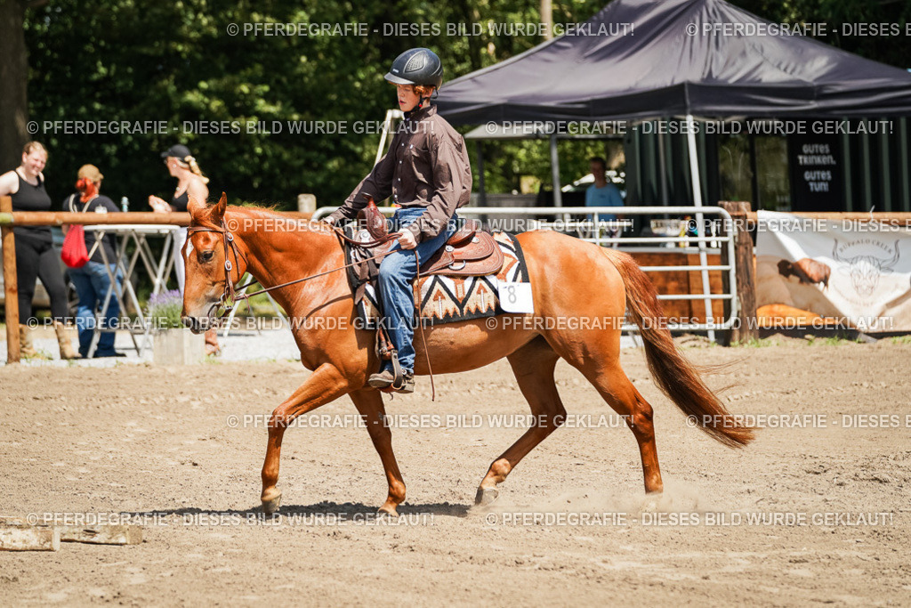 DSC07566 | Pferdegrafie